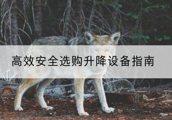 清水河升降货梯厂家推荐-*安全选购升降设备指南