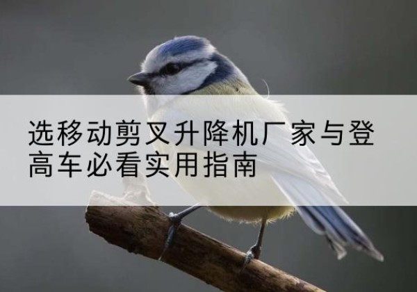 清水河电动升降机厂家-选移动剪叉升降机厂家与登高车必看实用指南