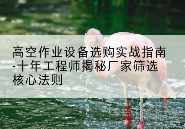 清水河剪叉式升降机厂家-高空作业设备选购实战指南-十年工程师揭秘厂家筛选核心法则